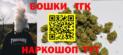 гидра Гатчина
