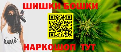 гидра Гатчина